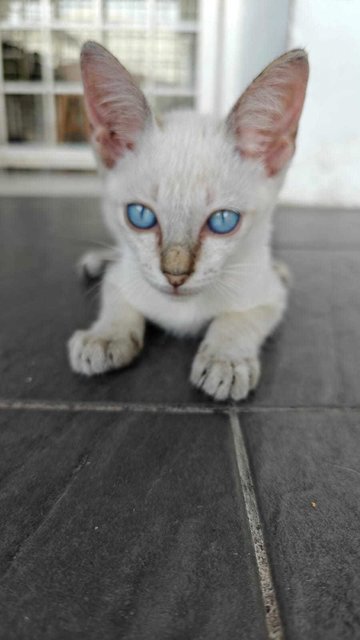 Loook into my eyes.....