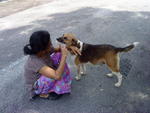 Puppies mum with fosterer