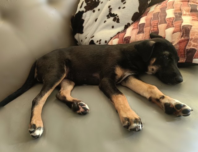 Sleepy