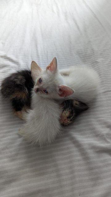 Cuddle time