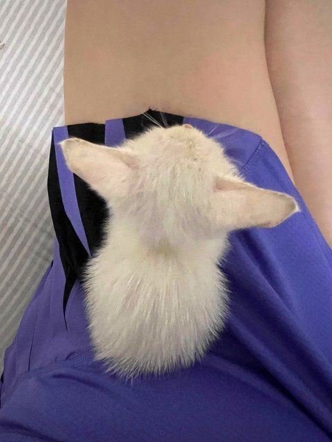 Affectionate little girl