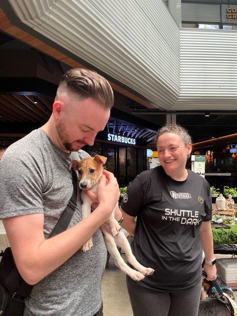 Blind Puppy - Mixed Breed Dog