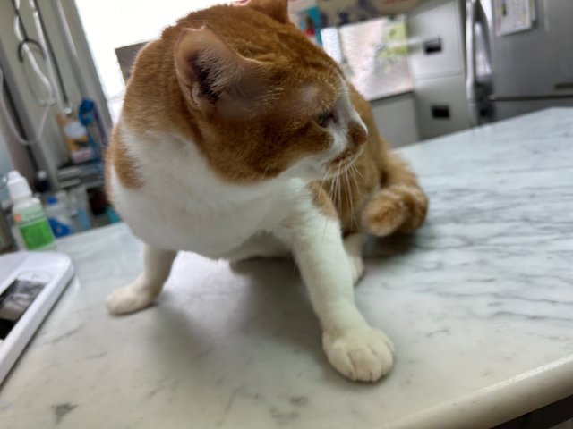 Made a pose 
