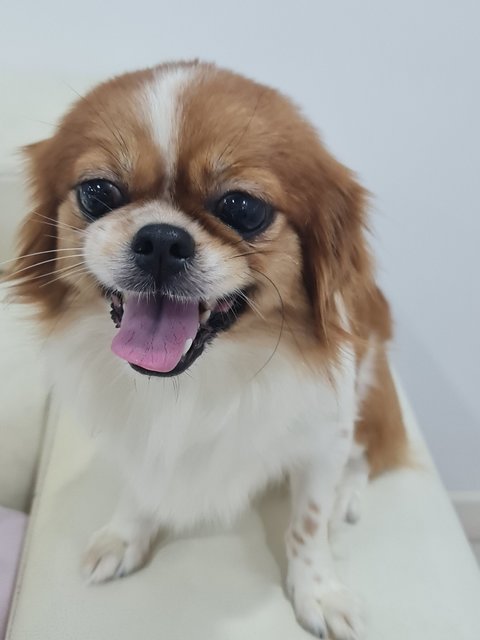 Manny: oo oo aunty Jo taking my photo, i got to show my happy face