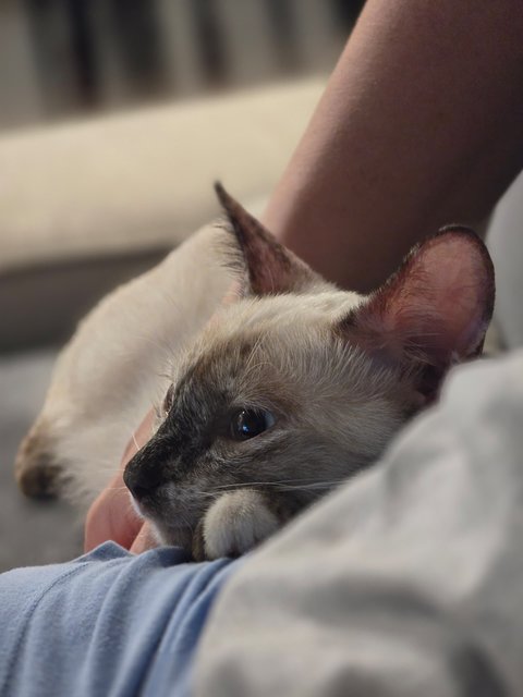 Relax with human