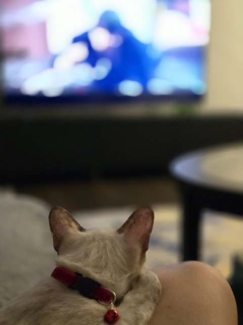 Watching TV