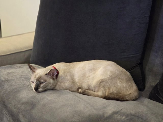 Sleeping