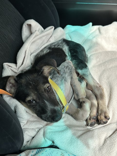 Calm in car rides