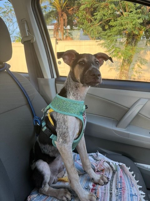 Always awesome in car rides