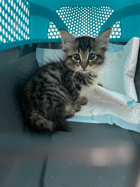At the vet she was scared