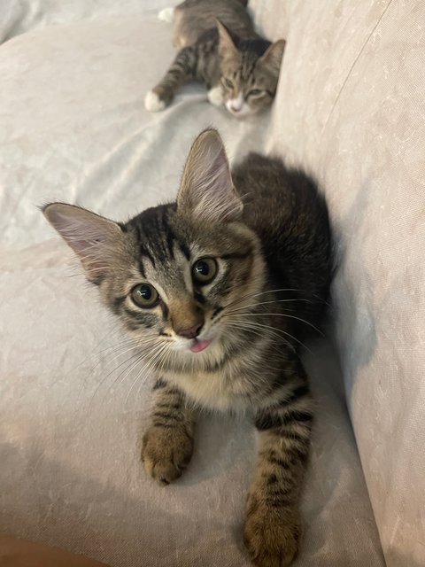Am I not cute??