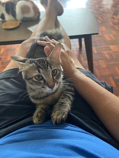 Break time so I go mummy!!