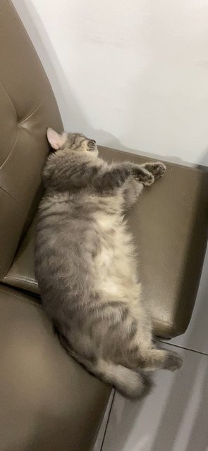 Vladimir is muscular and bulky while sleeping😆
