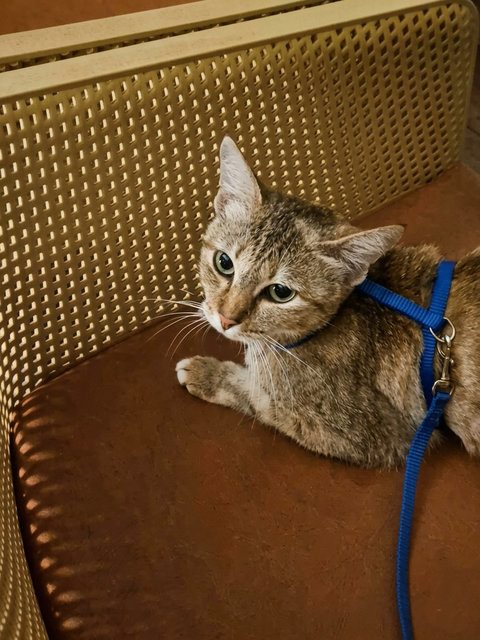 But I make sure my human is near