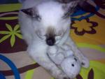 lulu with her tOys..