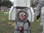 I am astrodog!