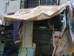 this is where rescued kittens live at the back of shirleys house