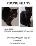 Kuching Hitam Hilang - Coco