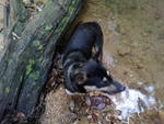 Cooling my feet at the stream in Bukit Gasing.