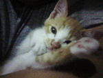 looking at the camera :D