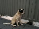 Can't wait to go to new home