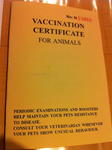 Vaccination certification