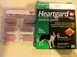 heartgard