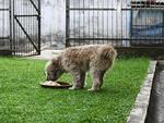 Having a picnic in the garden