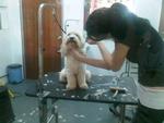 Her first grooming session with Jo! :)