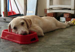 [Sept '07] Me? Play with Water???! No lah, am just lying down.