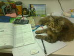 hey!stop doin ur home work n give me sum love!