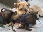 Playing with foster mum - aunty tyra