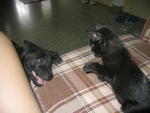 playing with Mika