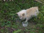 Hungry