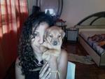 Lashes For Adoption - Mixed Breed Dog