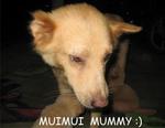 this is muimui mummy ;)