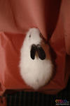 Cute Rabbit 03 - Jersey Wooly + American Fuzzy Lop Rabbit