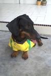 I am brazil football team member