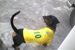 My brazil football shirt nice is it?