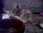 watching television 