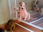 Pia (sitting) and Toro with their mom