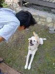 She's a happy dog! Playing with our friends.