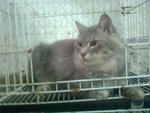 male available~~~~