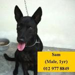 Pls call 012 977 8849 for information on Sam