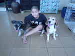 Marcel with Koko and Hawk