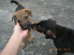 Boy and Girl 2 cuddling