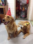 3rd Birthday