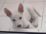 hai....my name is LUCKY