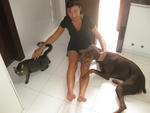 Lennox - Doberman Pinscher Dog