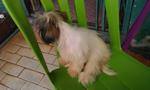 she sat quietly at the hawker centre